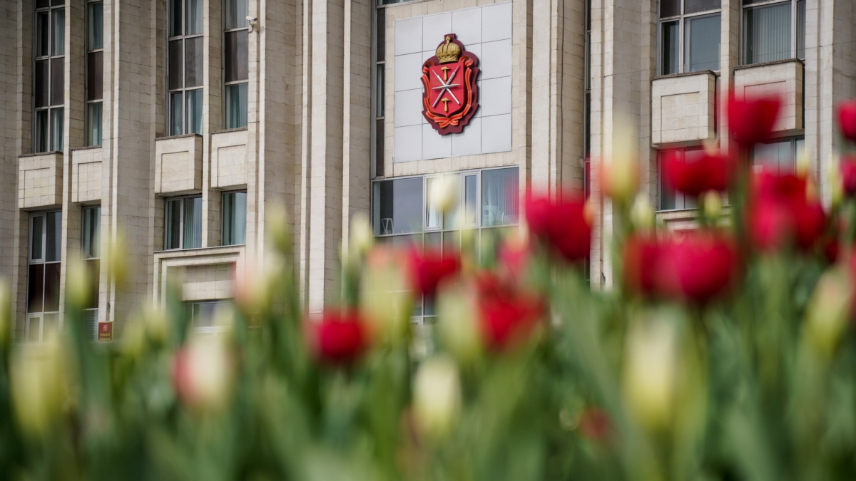 Светлана Мулыкина