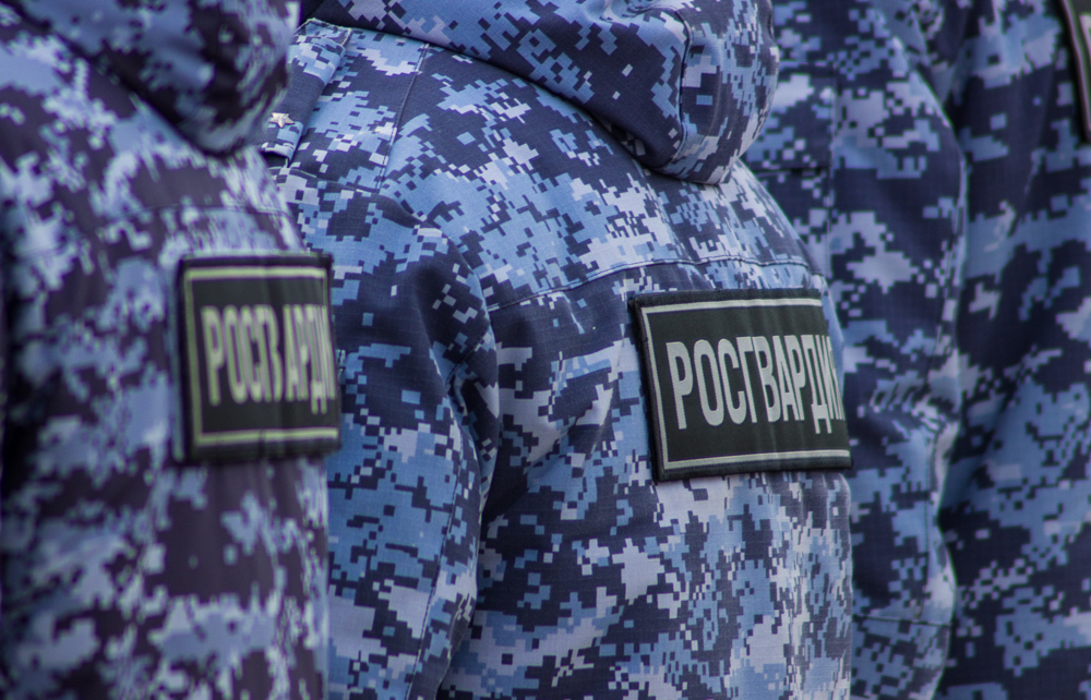 Работники Росгвардии патрулируют Тулу и обеспечивают общественный порядок круглосуточно ИА SM-News