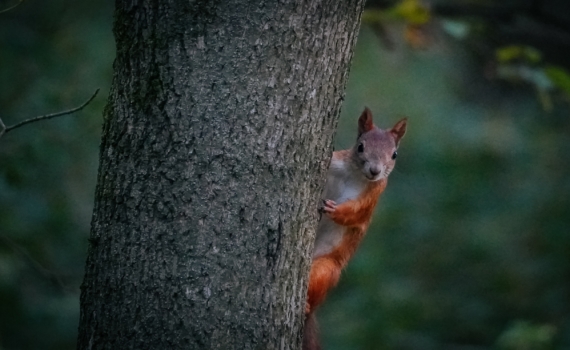 Что можно и нельзя в 24-й лунный день 13.11.2025 года — день искушений и важных решений