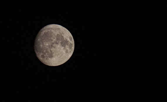 Ночь, когда Луна погасит звезду: редкое астрономическое шоу 1–2 февраля — можно ли увидеть Ночь, когда Луна погасит звезду: редкое астрономическое шоу 1–2 февраля — можно ли увидеть