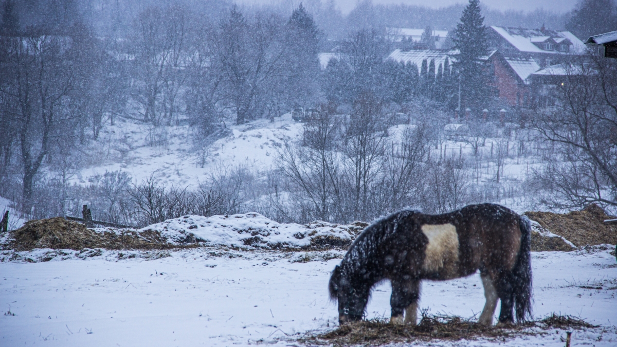 Миляев: Тульский АПК вышел на качественно новый уровень работы ИА SM-News