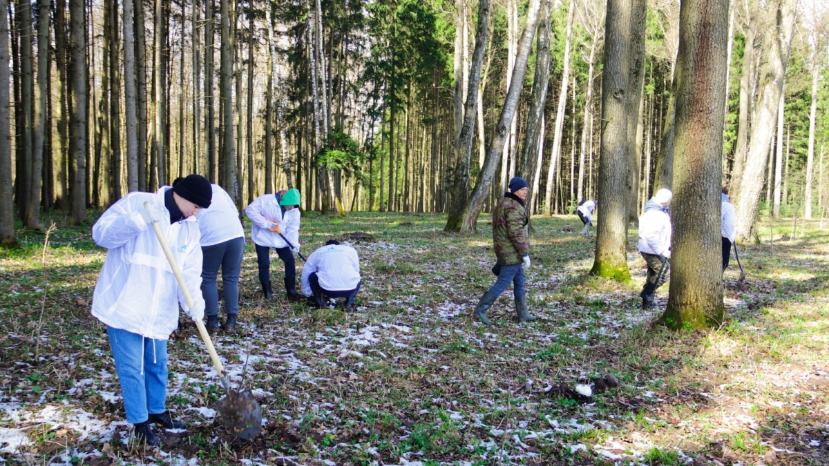 «Щекиноазот» открыл череду весенних субботников посадкой деревьев в Ясной Поляне пресс-служба