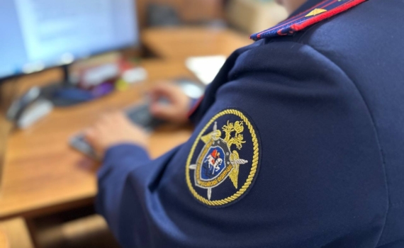 В Адыгее в деле о незаконном приобретении и хранении тротиловой шашки установлены новые факты В Адыгее в деле о незаконном приобретении и хранении тротиловой шашки установлены новые факты